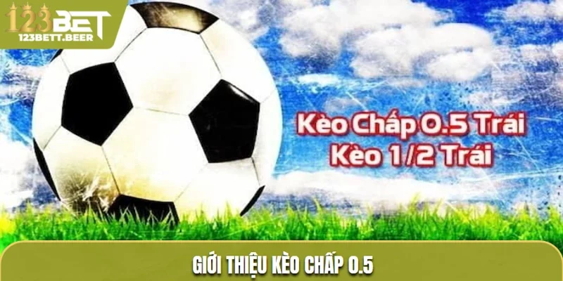Giới thiệu kèo chấp 0.5