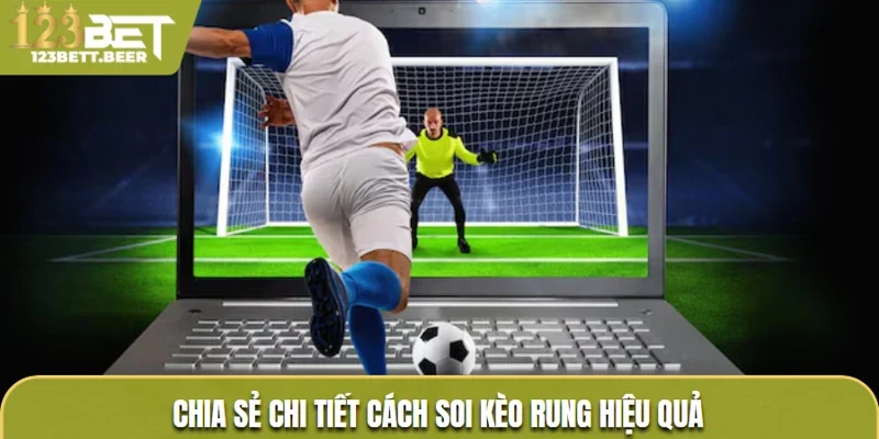 Chia sẻ chi tiết cách soi kèo rung hiệu quả